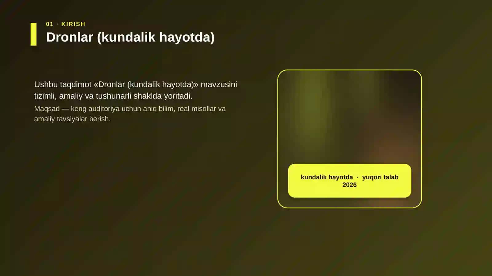 Dronlar (kundalik hayotda) 4