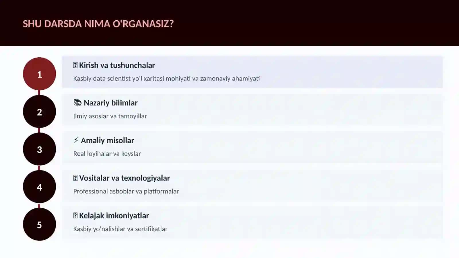 Kasbiy data scientist yo'l xaritasi 4