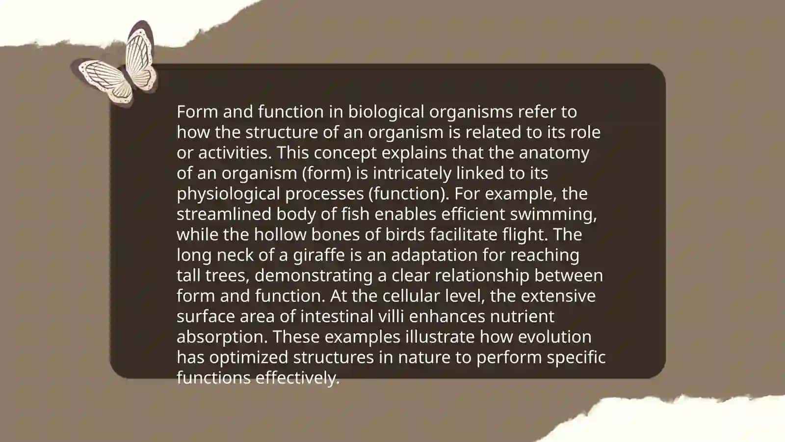 Form and function 4