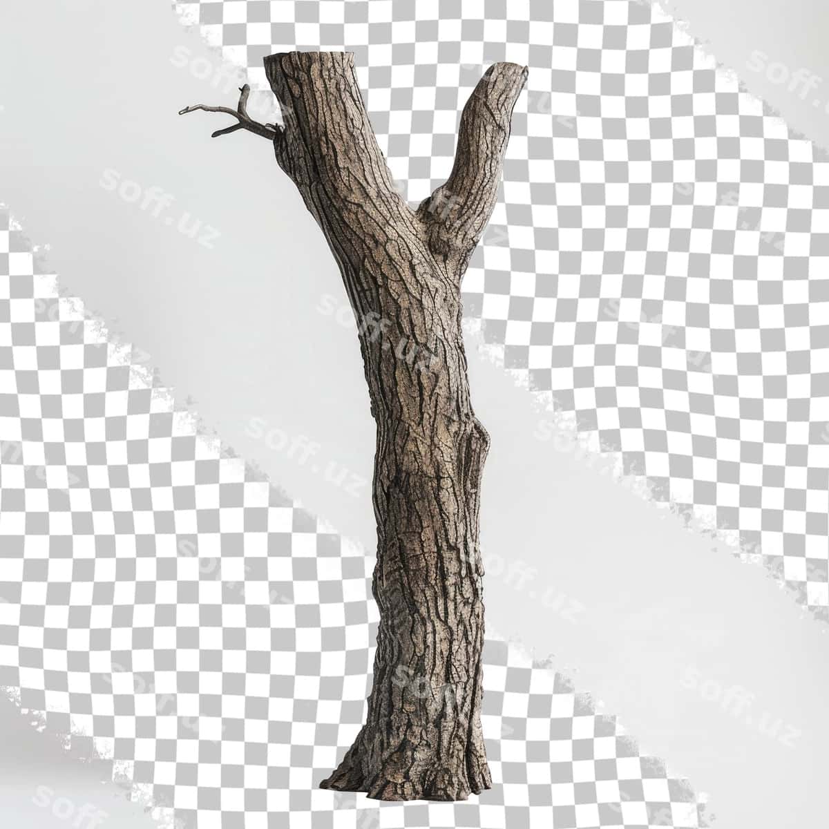 T harfi bor daraxt | Tree with word t it 1