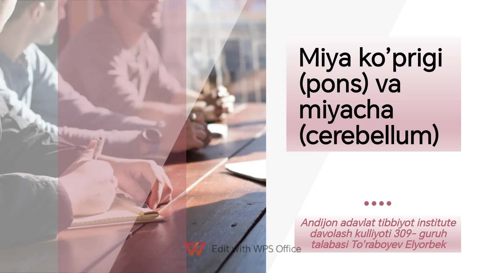 miyacha va miya koprigi anatomiyasi