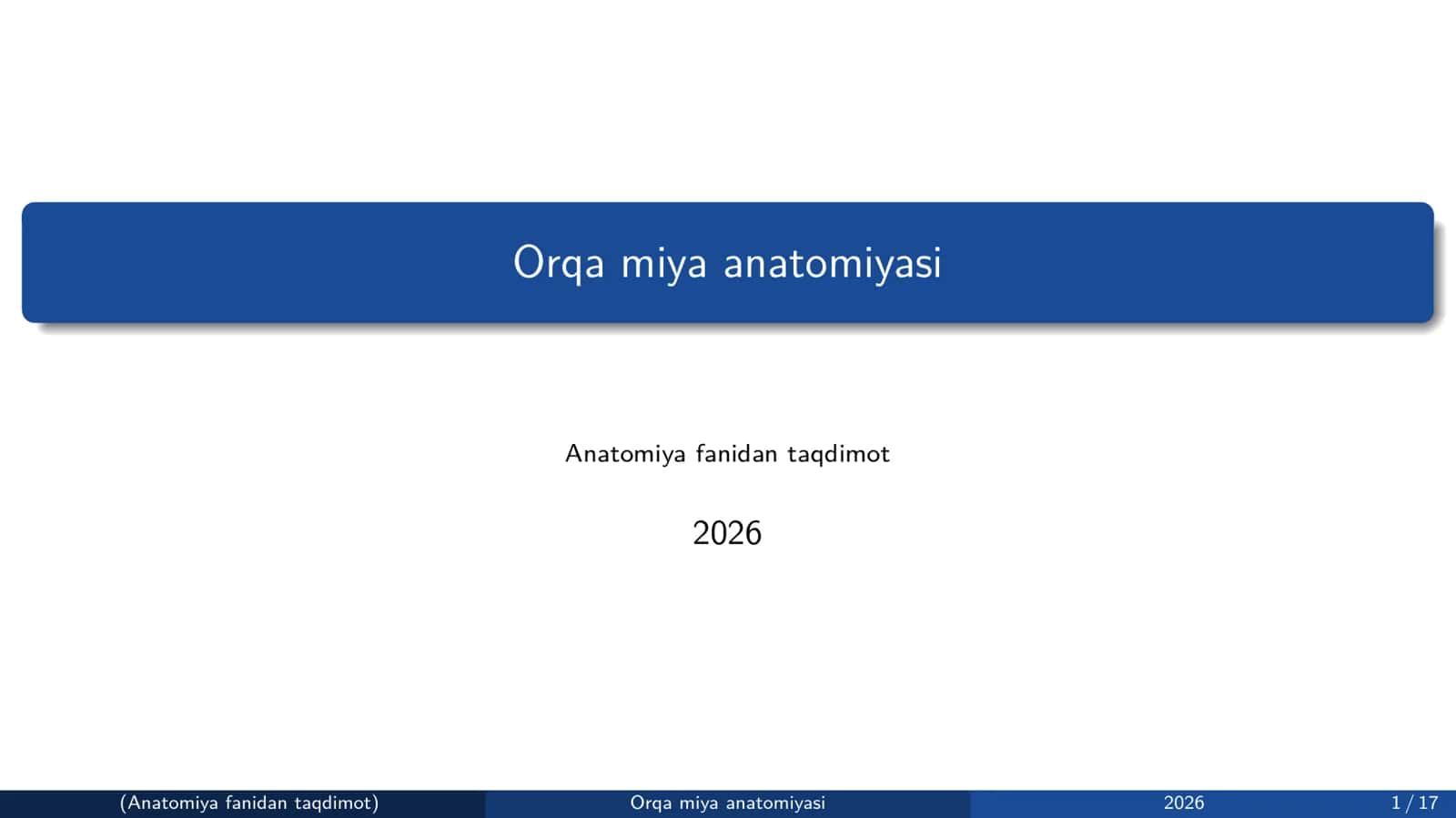 Orqa miya anatomiyasi