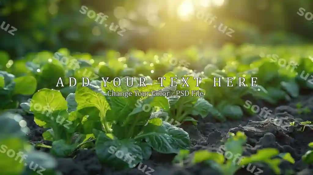Yashil o'simliklar quyosh chiriyoti | Green plants sunlight