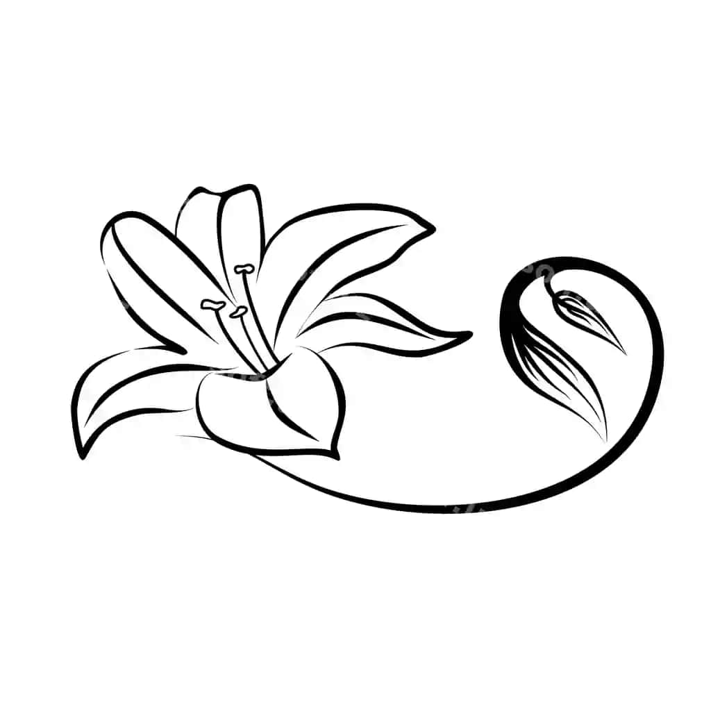 Lotus hasharot logotip shablon petal logotip o'simlik suvda suza bilan | Lotus luxury logo template petal logo plant floating water with