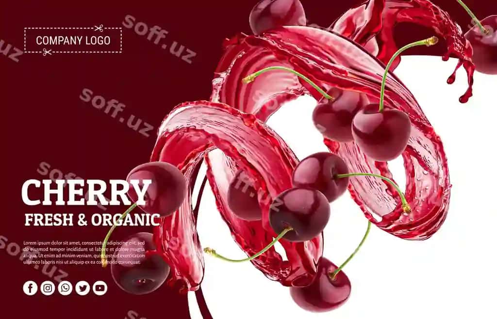 Poster olcha organik so'zlar bilan olcha pastki | Poster cherry organic with words cherry bottom