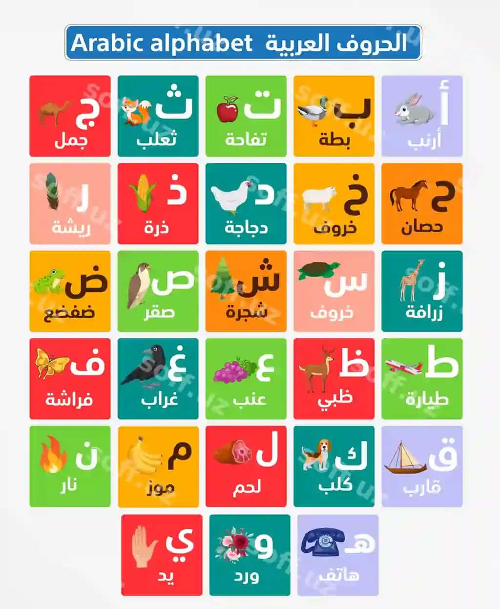 Arab alifbosi harflari shriftlari tahrirlanadigan to'plami hijoiya o'rganish ta'lim | Arabic alphabet letters fonts editable pack hijaiyah learning education