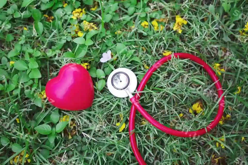 Sog'liqni saqlash kontseptsiyasi qizil stetoskop qizil yurak bilan yashil chaman orqa fonda | Healthy healthcare concept red stethoscope with red heart green grass background