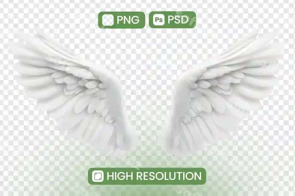 Yuklab olish yuqori rezolyutsiya png psd fayllar realistik oq qanotlar mukammal | Download highresolution png psd files realistic white wings perfect