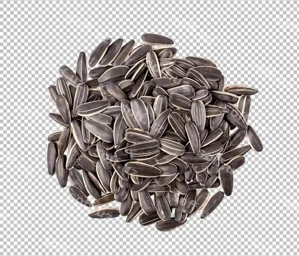 Qizilgul urug'lari ajraltirilgan oq fonda yuqori ko'rinish | Sunflower seeds isolated white background top view