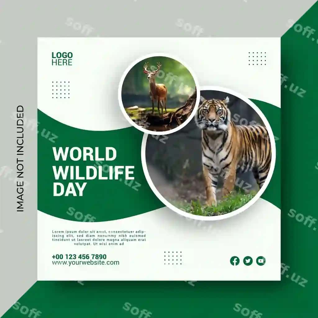 Butunjahon yovvoyi tabiat kuni ijtimoiy media post dizayn shabloni | World wildlife day social media post design template