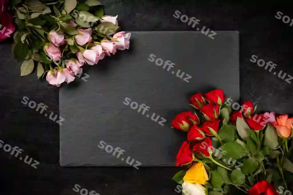 Rangli gullar | Colorful roses