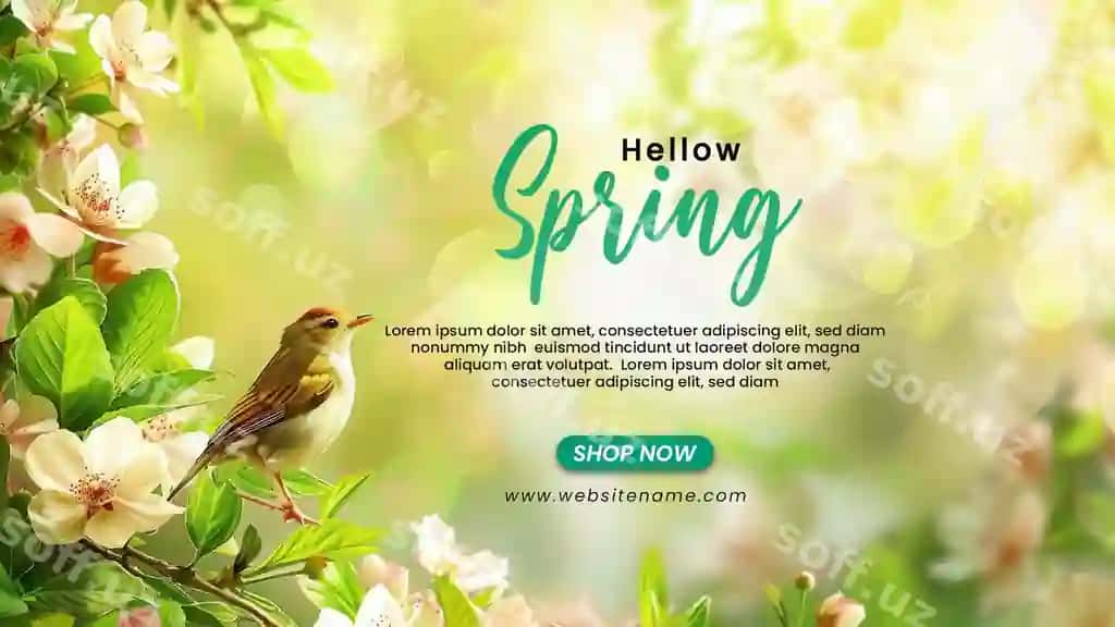 Salom bahor banner shabloni qush gullari bilan | Hello spring banner template with bird flowers