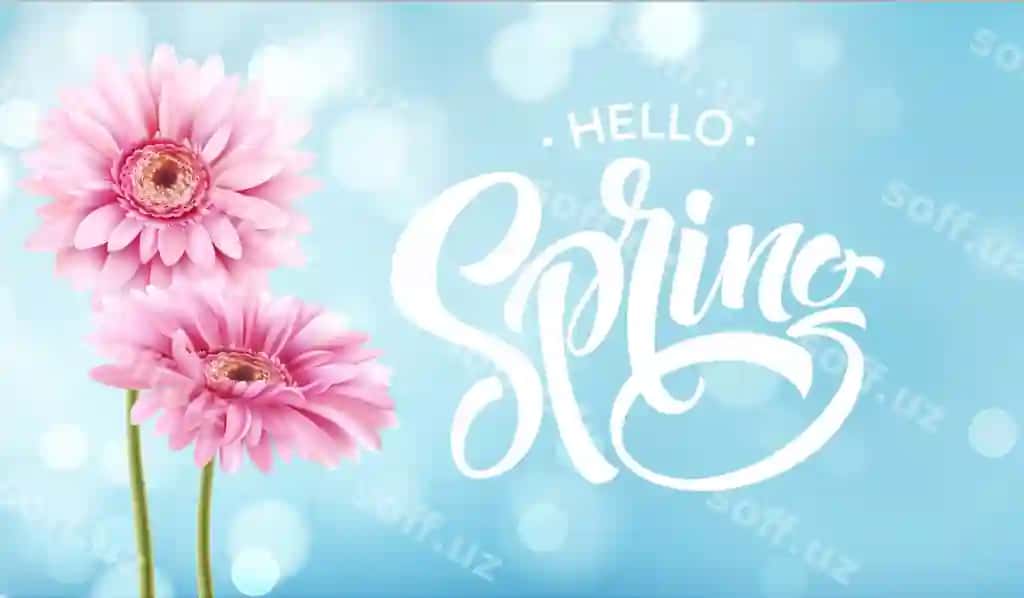 Gerbera guli bahor harflar dizayni | Gerbera flower spring lettering