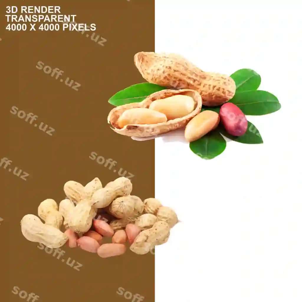 Quruq meva shaffof fonda | Dried fruits transparent background
