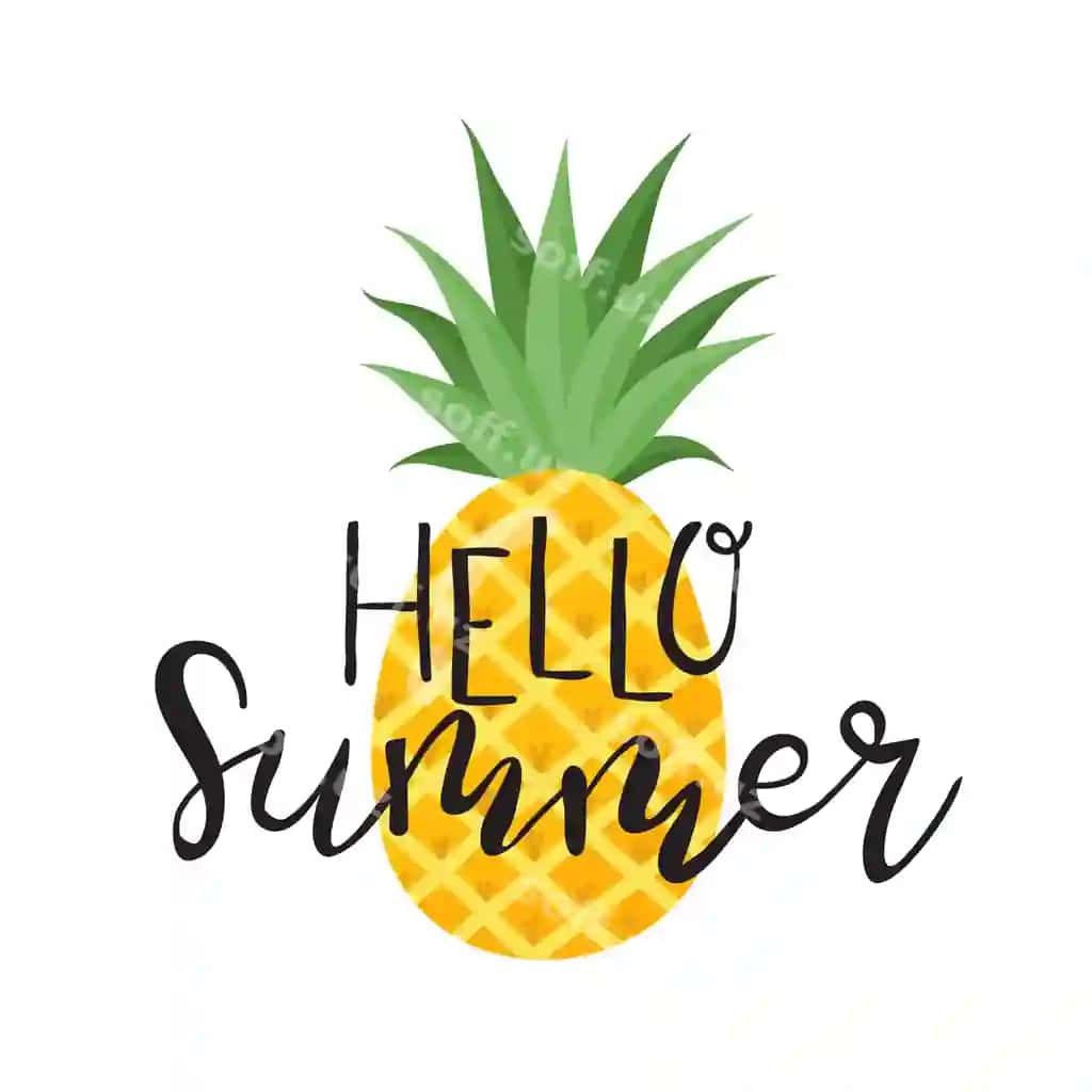 Yoz etiketlar logotiplar qo'l bilan chizilgan teglar elementlar to'plam yoz | Summer labels logos hand drawn tags elements set summer