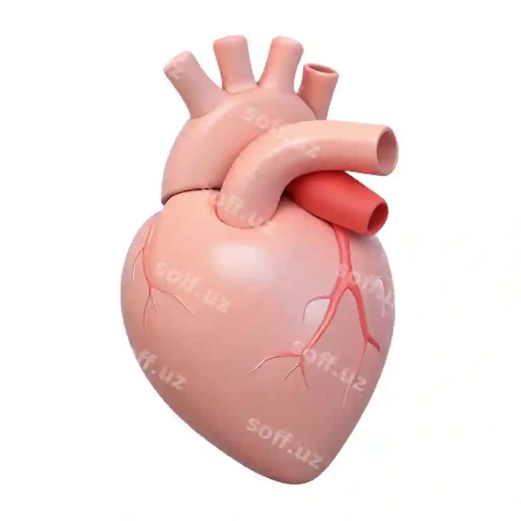 Binafsha qalb qizil qalb bilan qizil qalb | Pink heart with red heart red heart