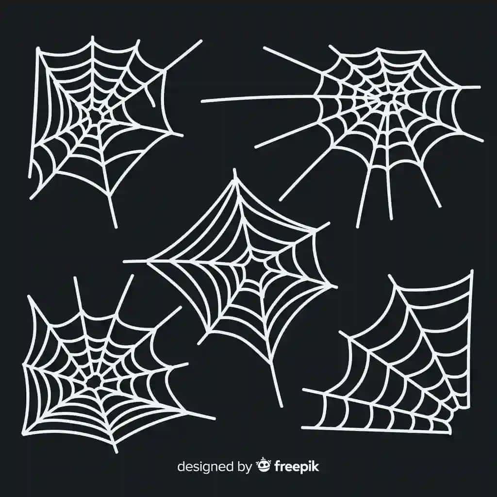Qo'lda chizilgan o'rgimchak to'ri to'plami | Hand drawn cobweb collection