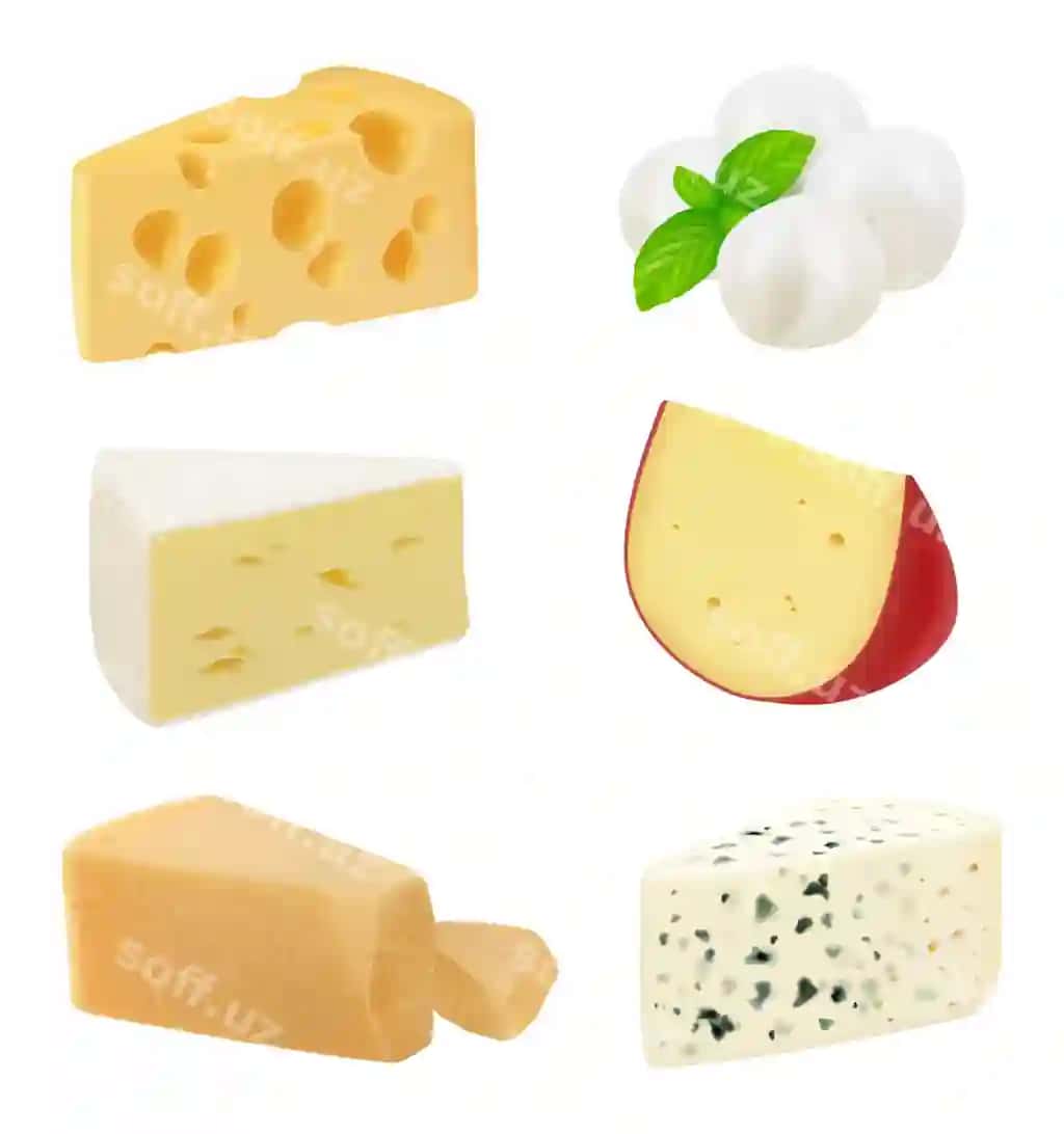 Haqiqiy pishloq qismlari mazali gourmet ovqat turkumlari mozzarella | Realistic cheese pieces delicious gourmet food variety mozzarella