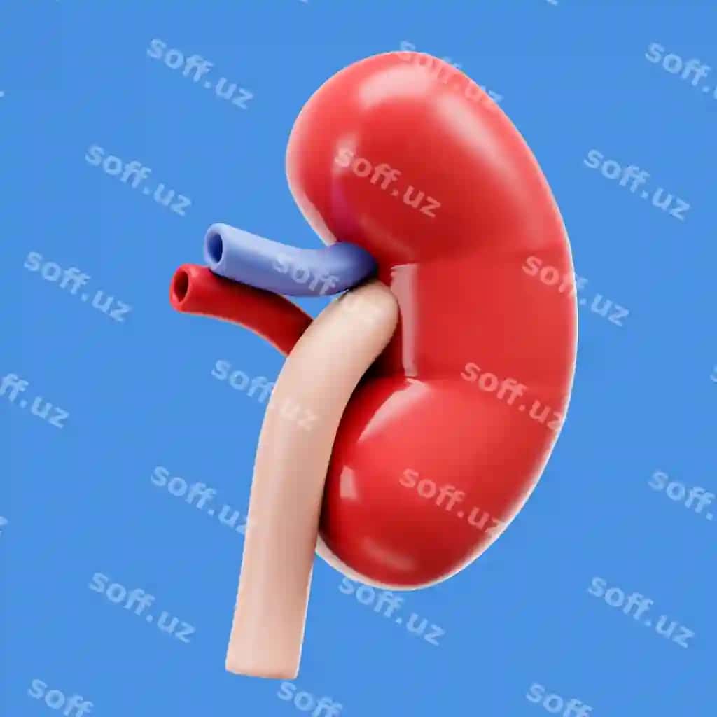 3D render insonga tana ikon | 3d rendering human body icon
