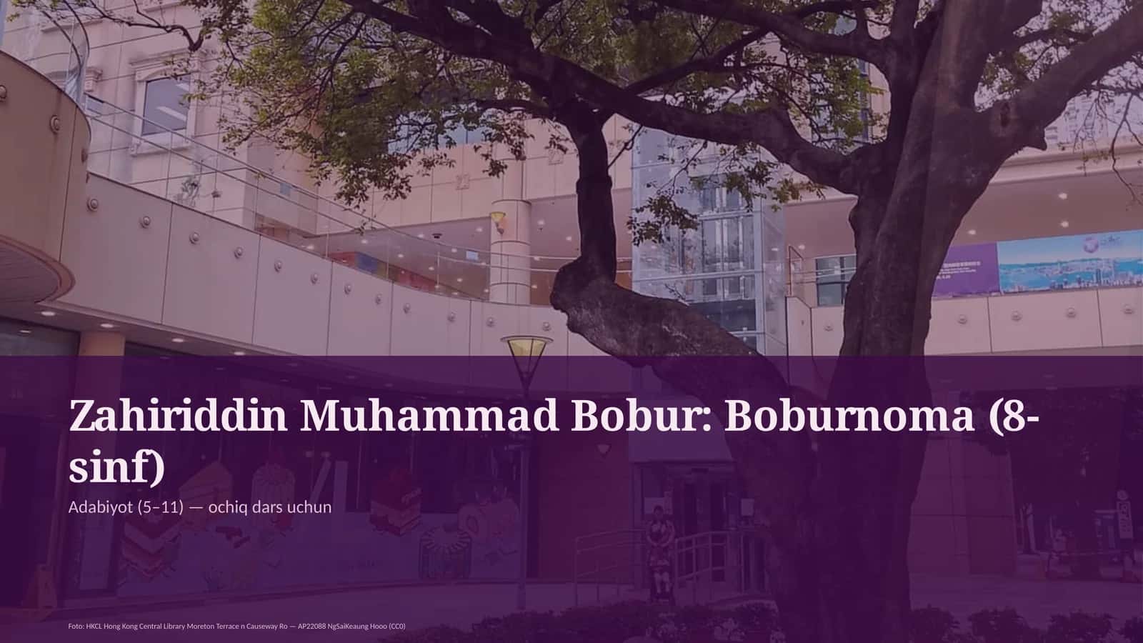 Boburnoma (8-sinf)