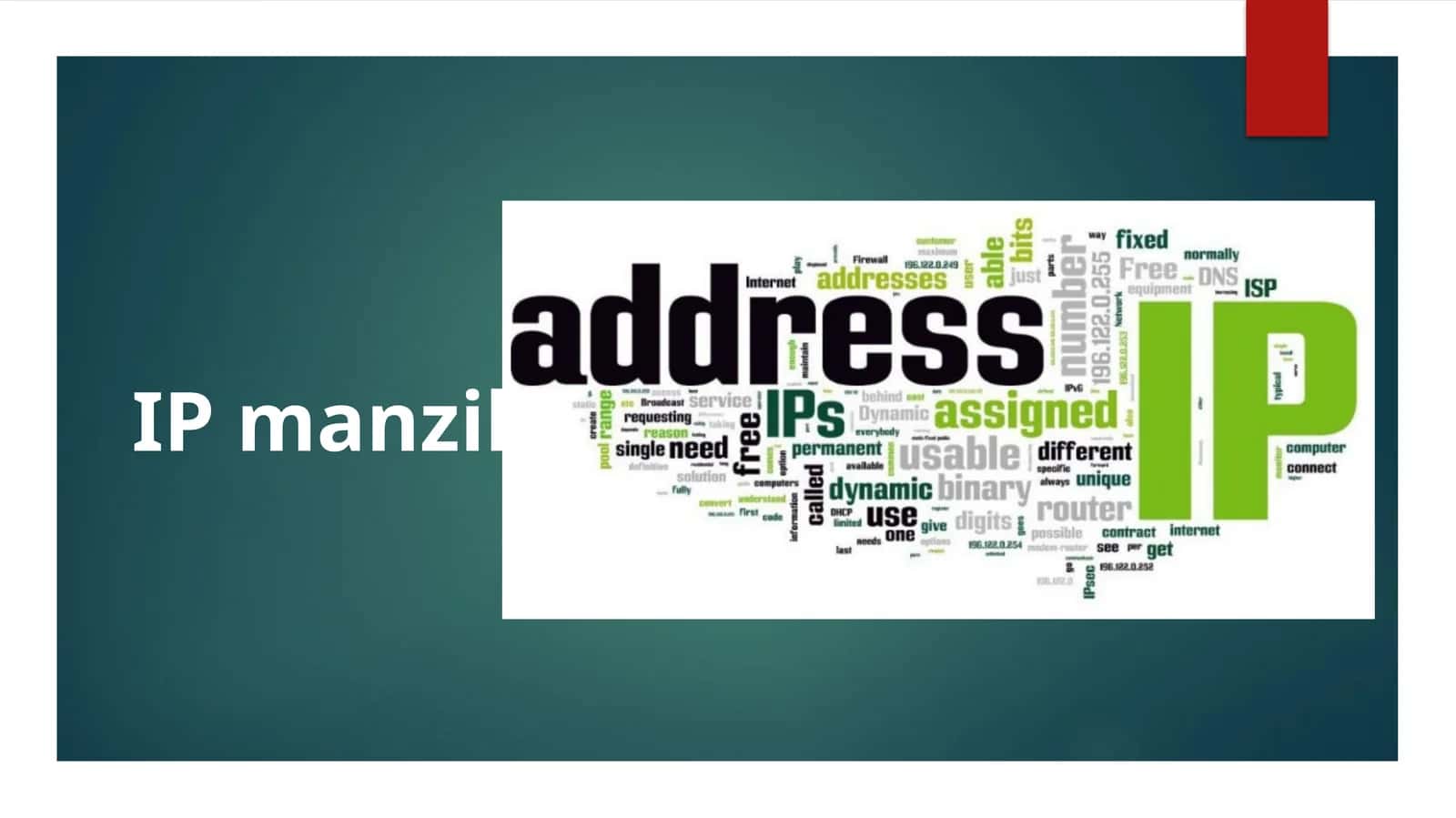 IP manzil