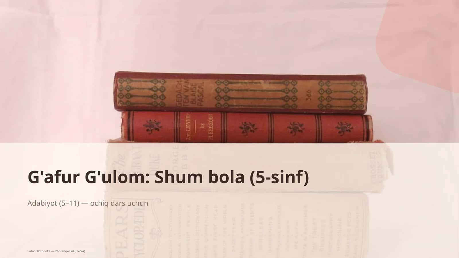 G'afur G'ulom: Shum bola (5-sinf)