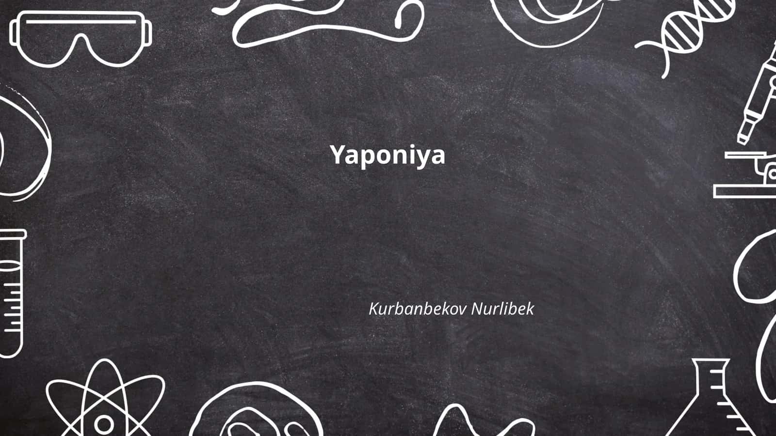 Yaponiya tarixi