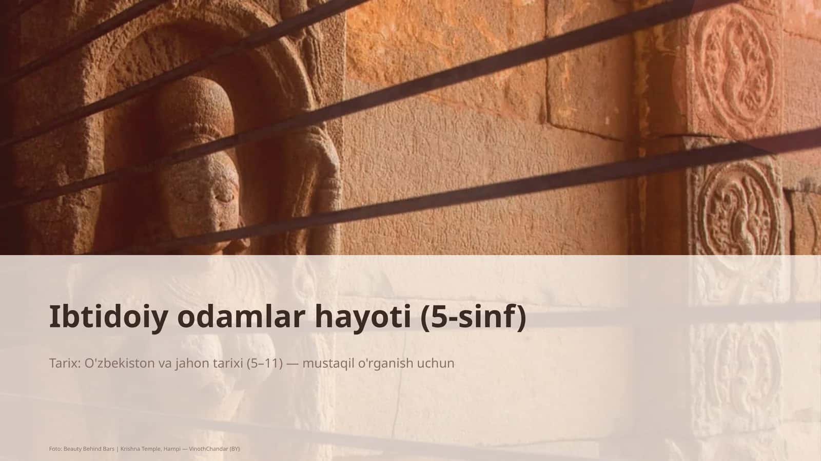 Ibtidoiy odamlar hayoti (5-sinf)