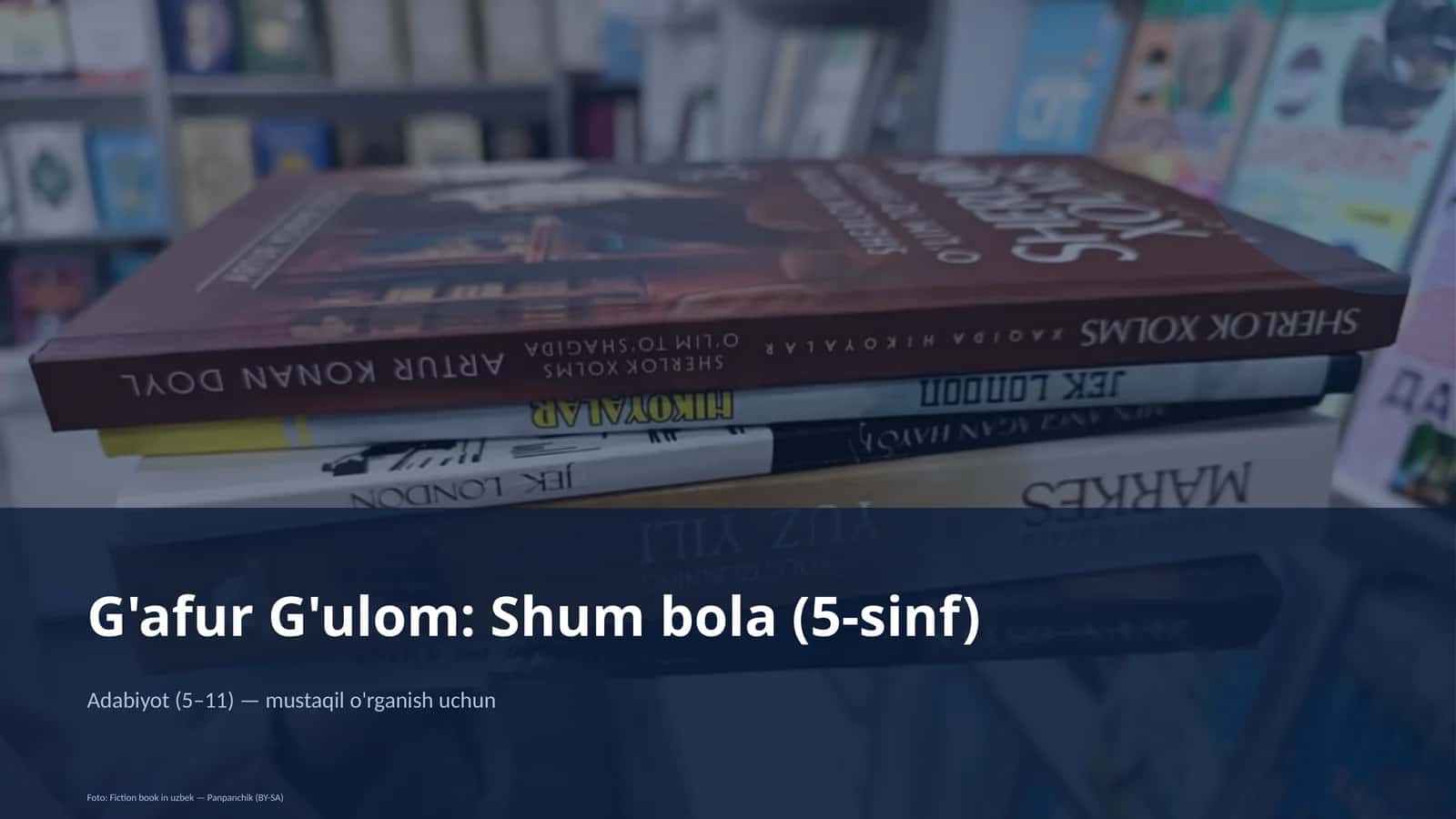 G'afur G'ulom: Shum bola (5-sinf)