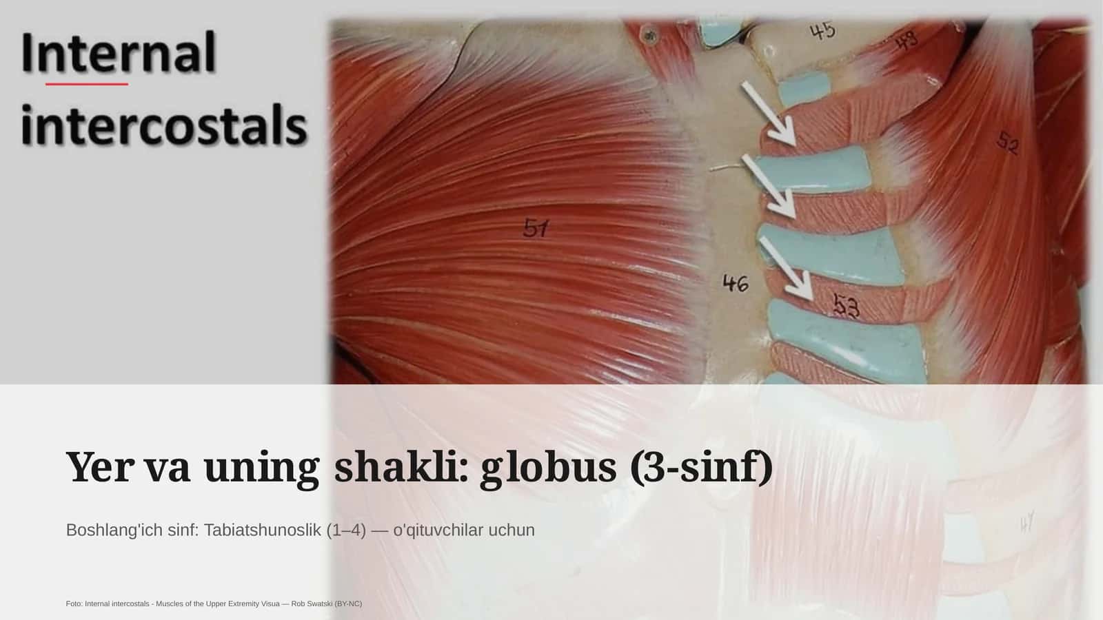 Yer va uning shakli: globus (3-sinf)