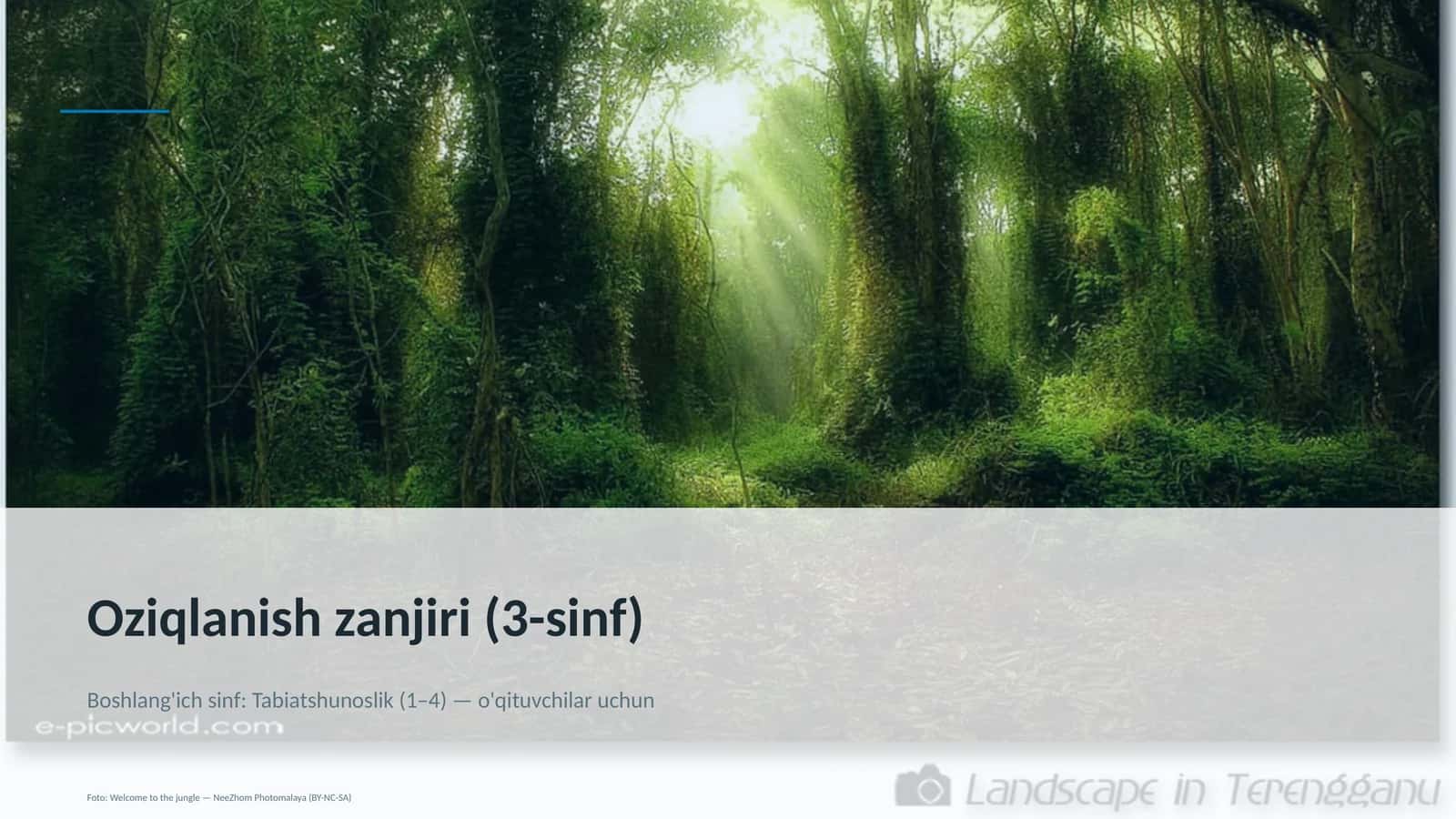 Oziqlanish zanjiri (3-sinf)