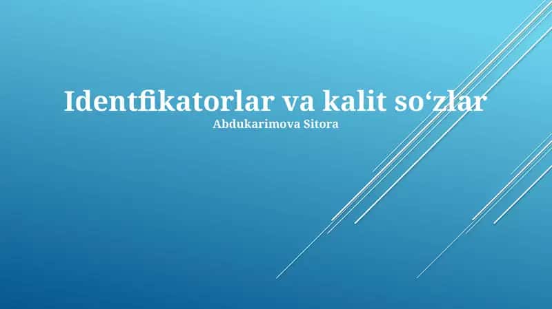 Identifikatorlar va kalit soʻzlar