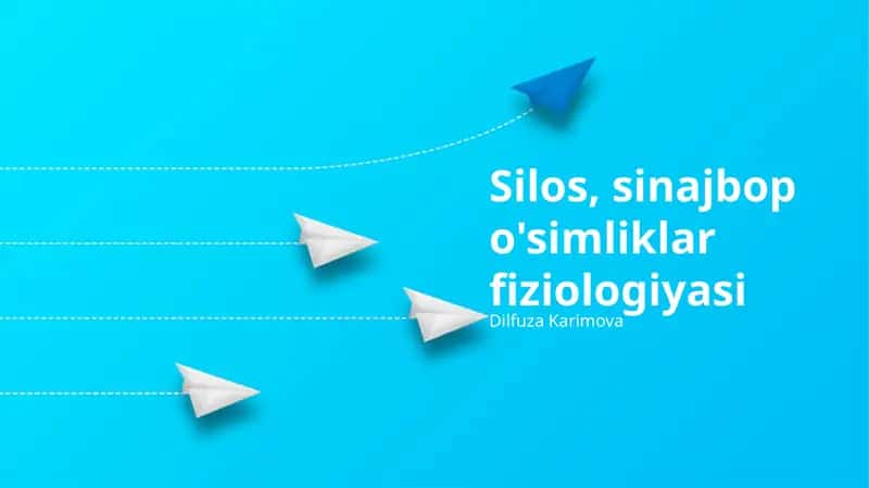 Silos, sinajbop o'simliklar fiziologiyasi