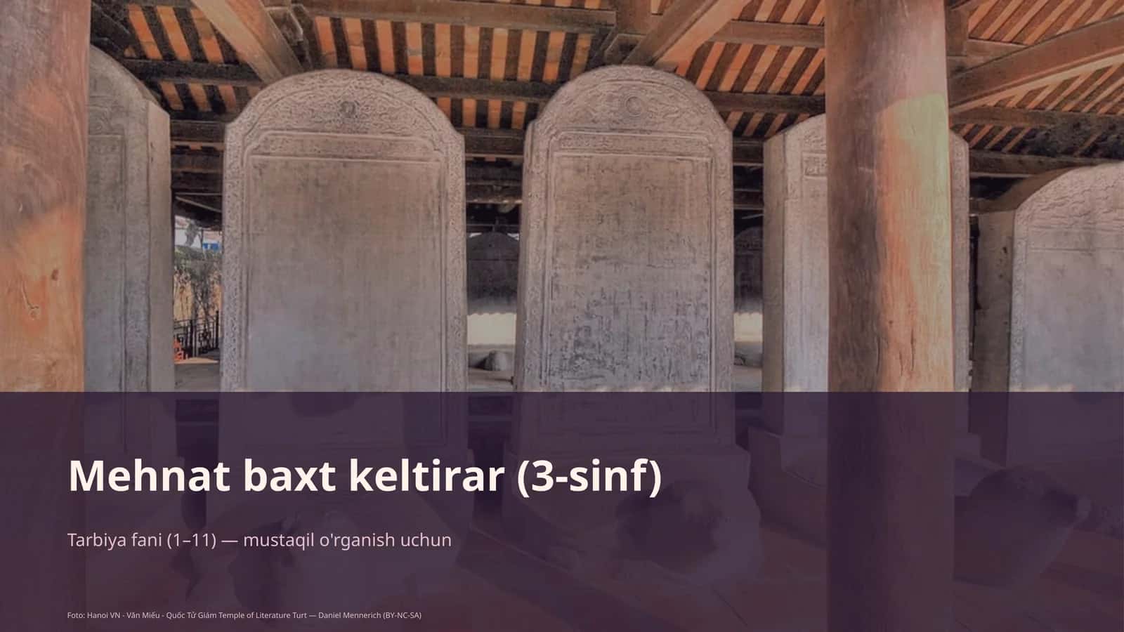 Mehmat baxt keltirar (3-sinf)