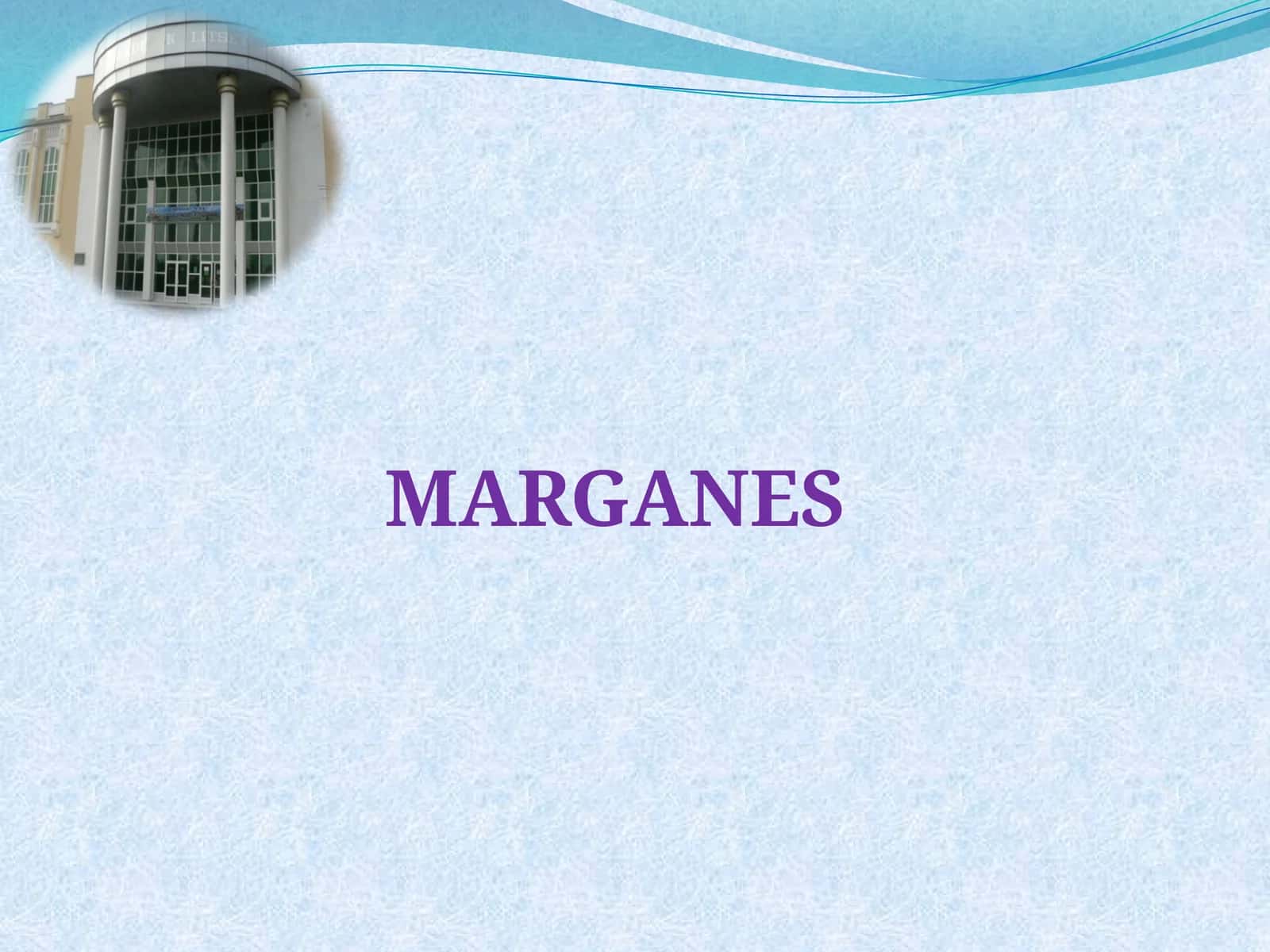 Marganets (Mn) ochiq dars
