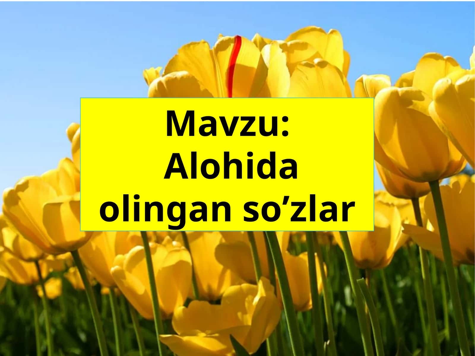 Alohida olingan so’zlar