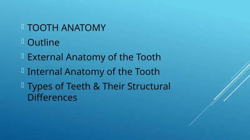 TOOTH ANATOMY