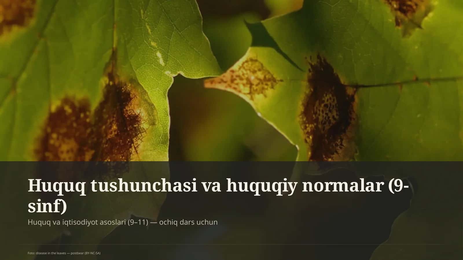 Huquq tushunchasi va huquqiy normalar (9-sinf)