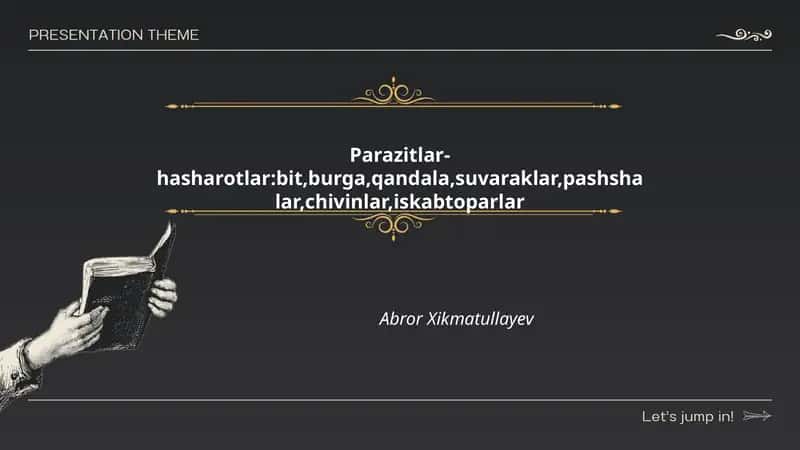 Bitlar haqida umumiy ma'lumot