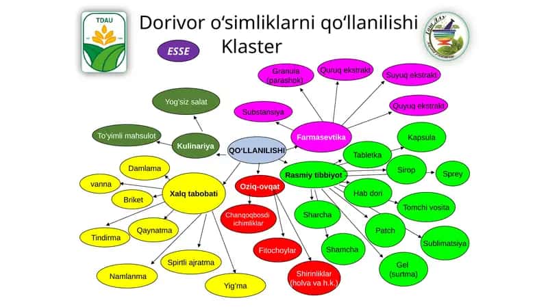Oziq-ovgat