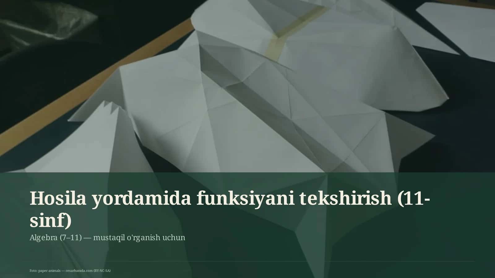 Hosila yordamida funksiyani tekshirish (11-sinf)