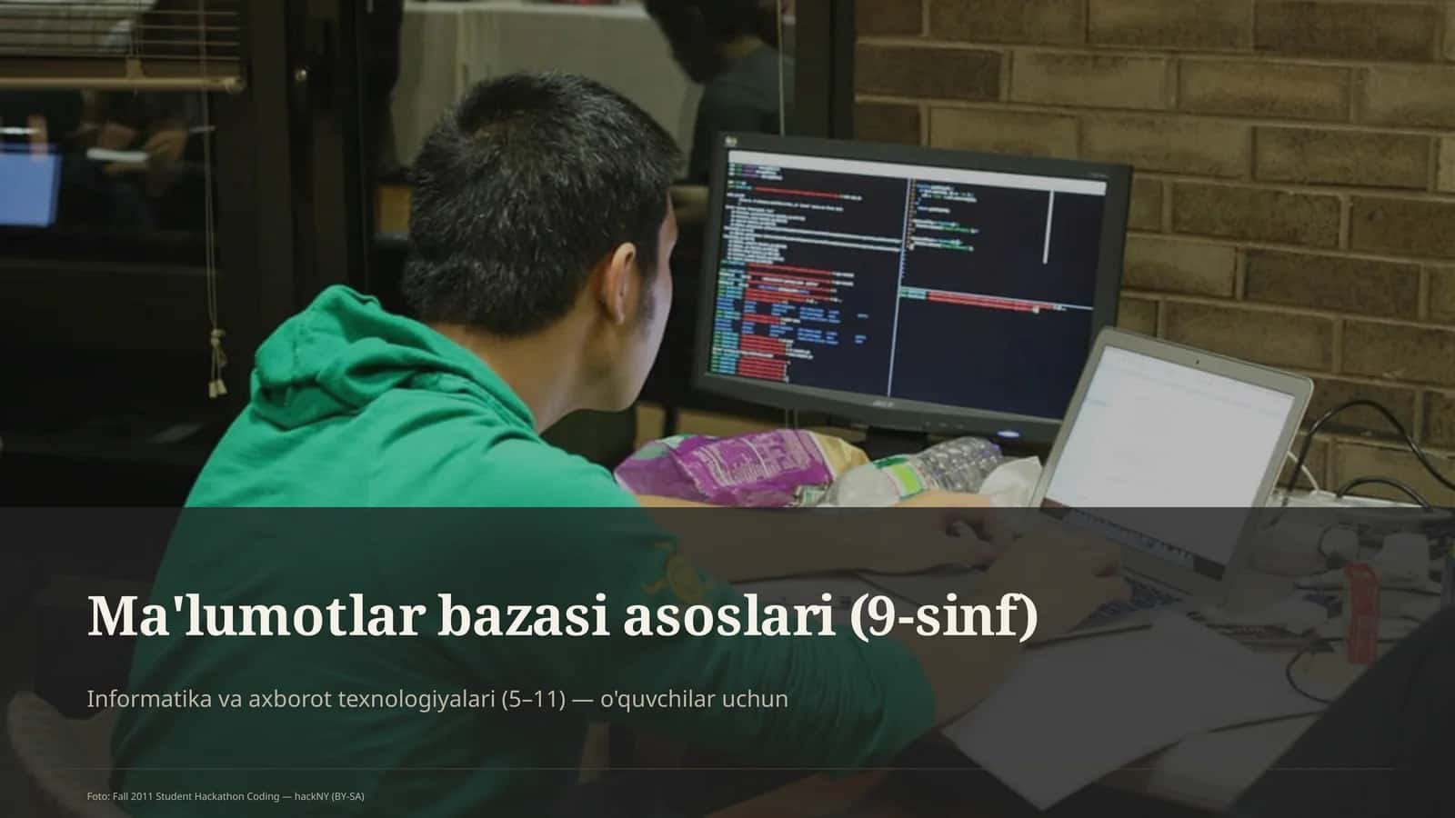Ma'lumotlar bazasi asoslari (9-sinf)