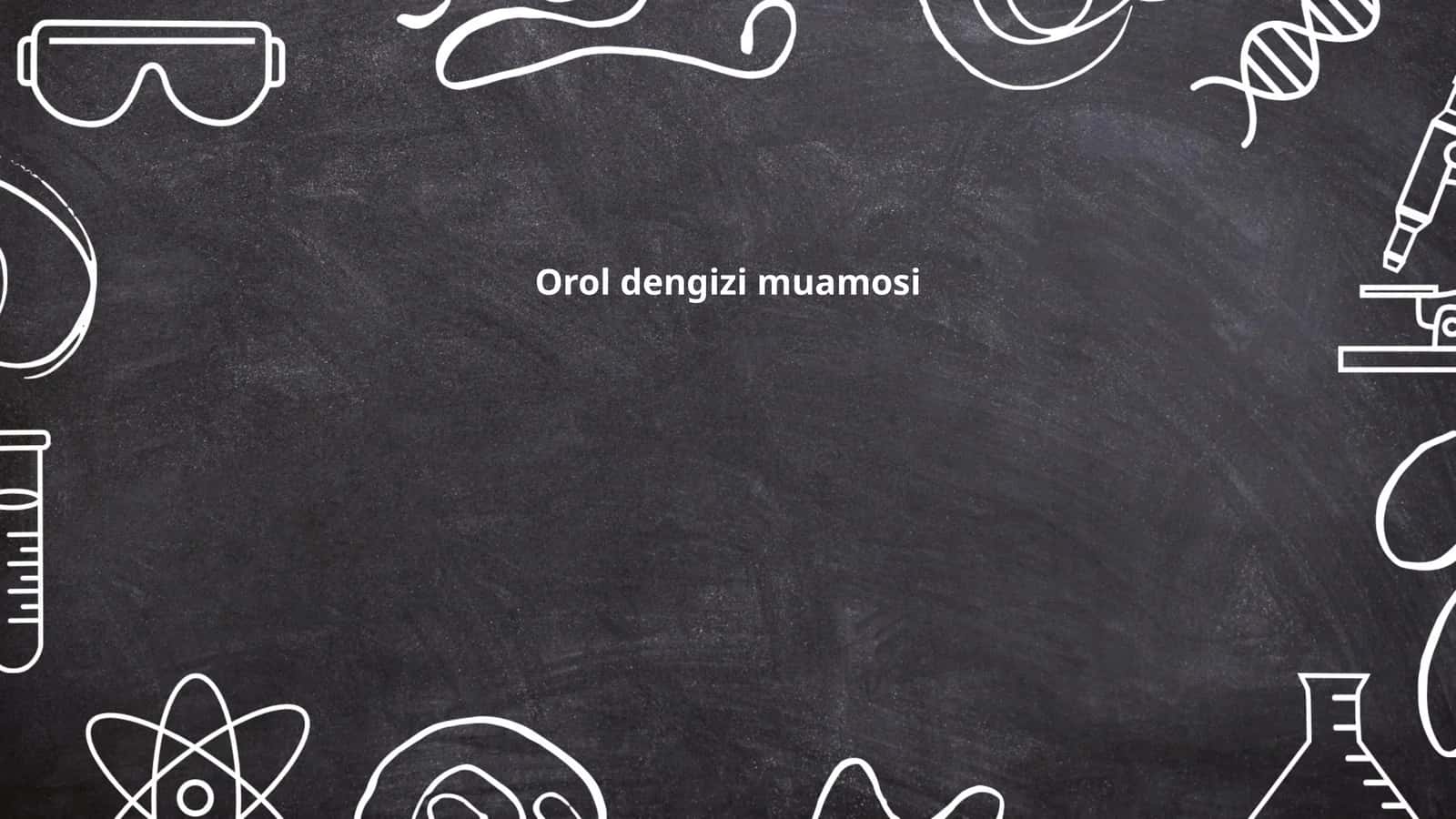 Orol dengizi muamosi
