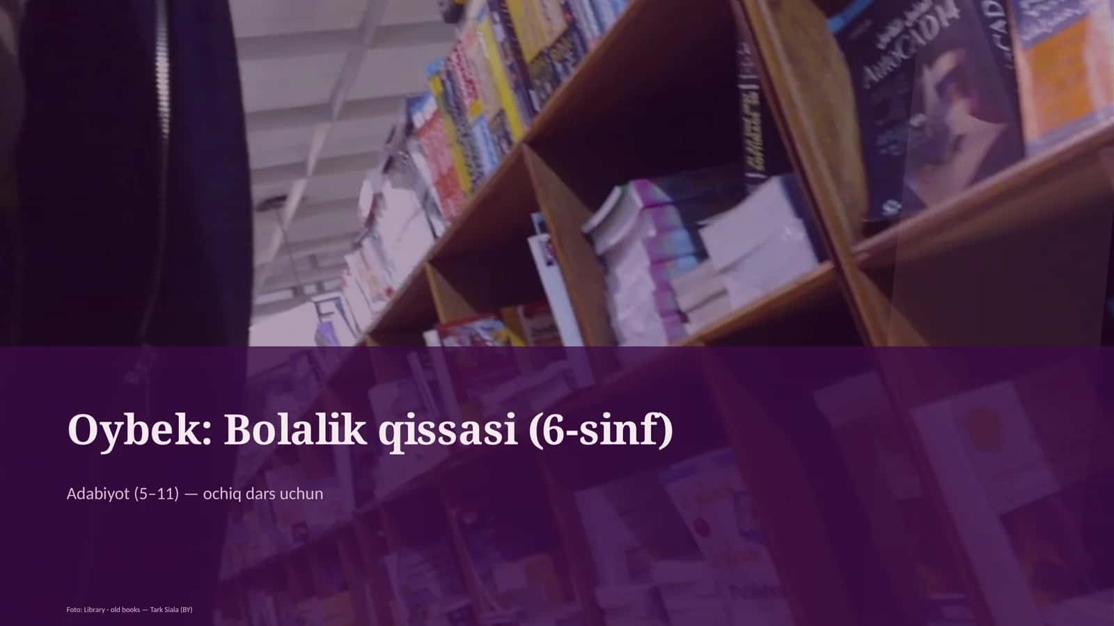 Oybek: Bolalik qissasi (6-sinf)