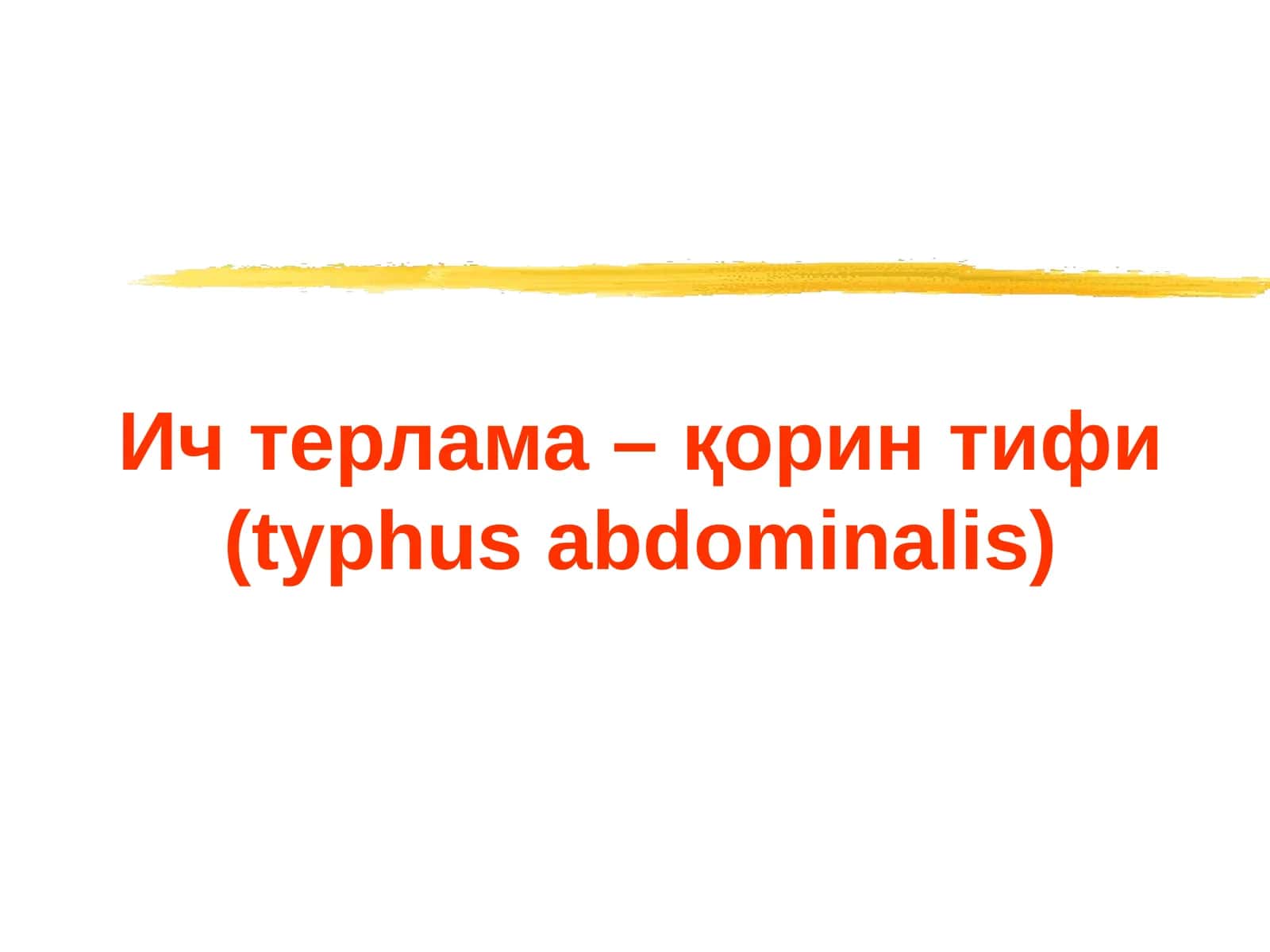Ич терлама –қорин тифи (typhus abdominalis)