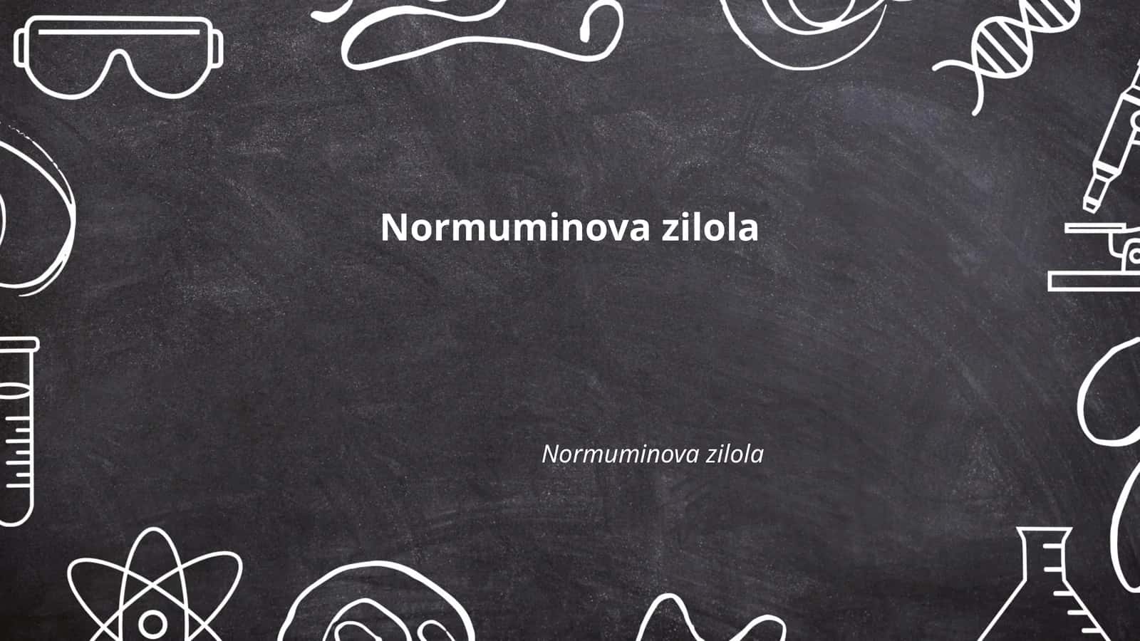 Normuminova Zilola