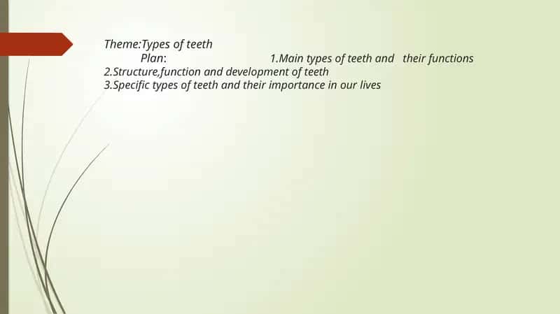 Types of Teeth