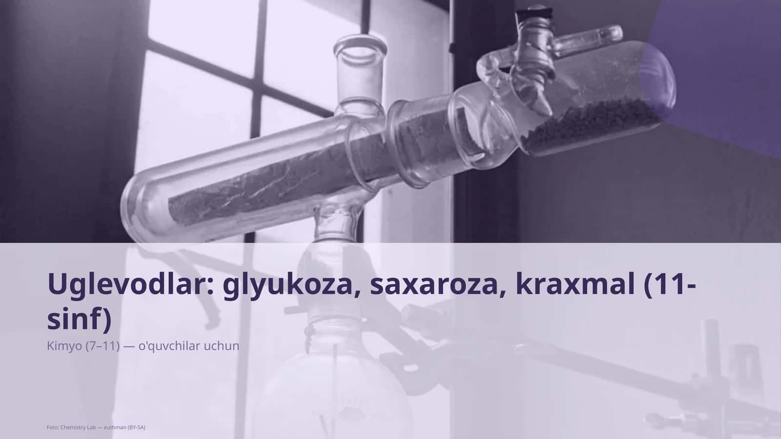 Uglevodlar: glyukoza, saxaroza, kraxmal (11-sinf)