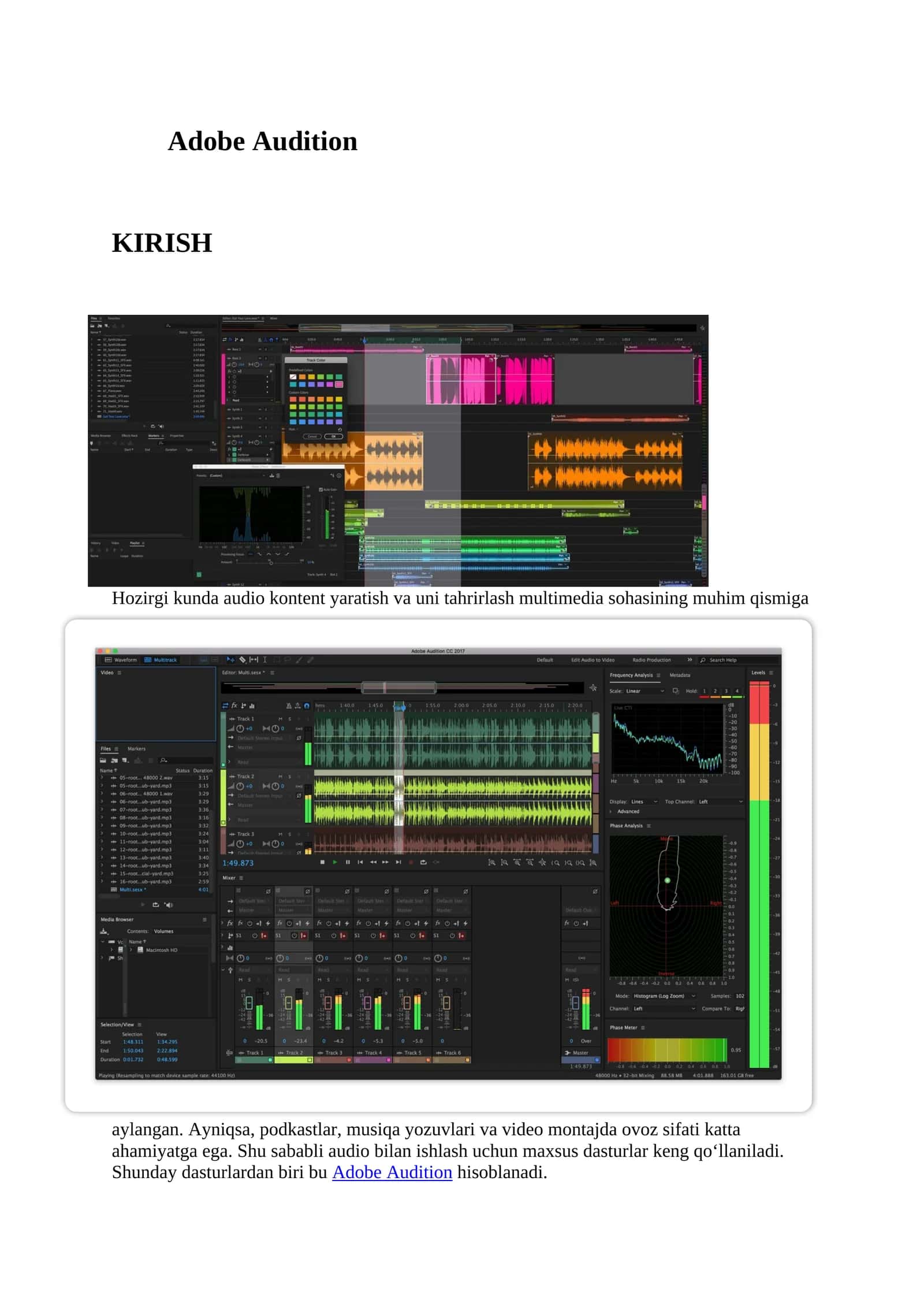 ADOBE AUDITION HAQIDA