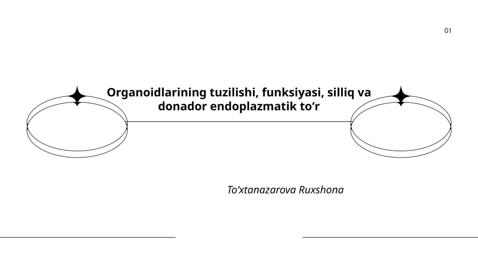 Organoidlarining tuzilishi, funksiyasi, silliq va donador endoplazmatik toʻr